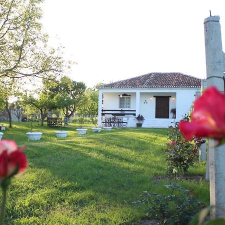 "Per Mik" Cottage In Vineyard Shkoder Exterior photo