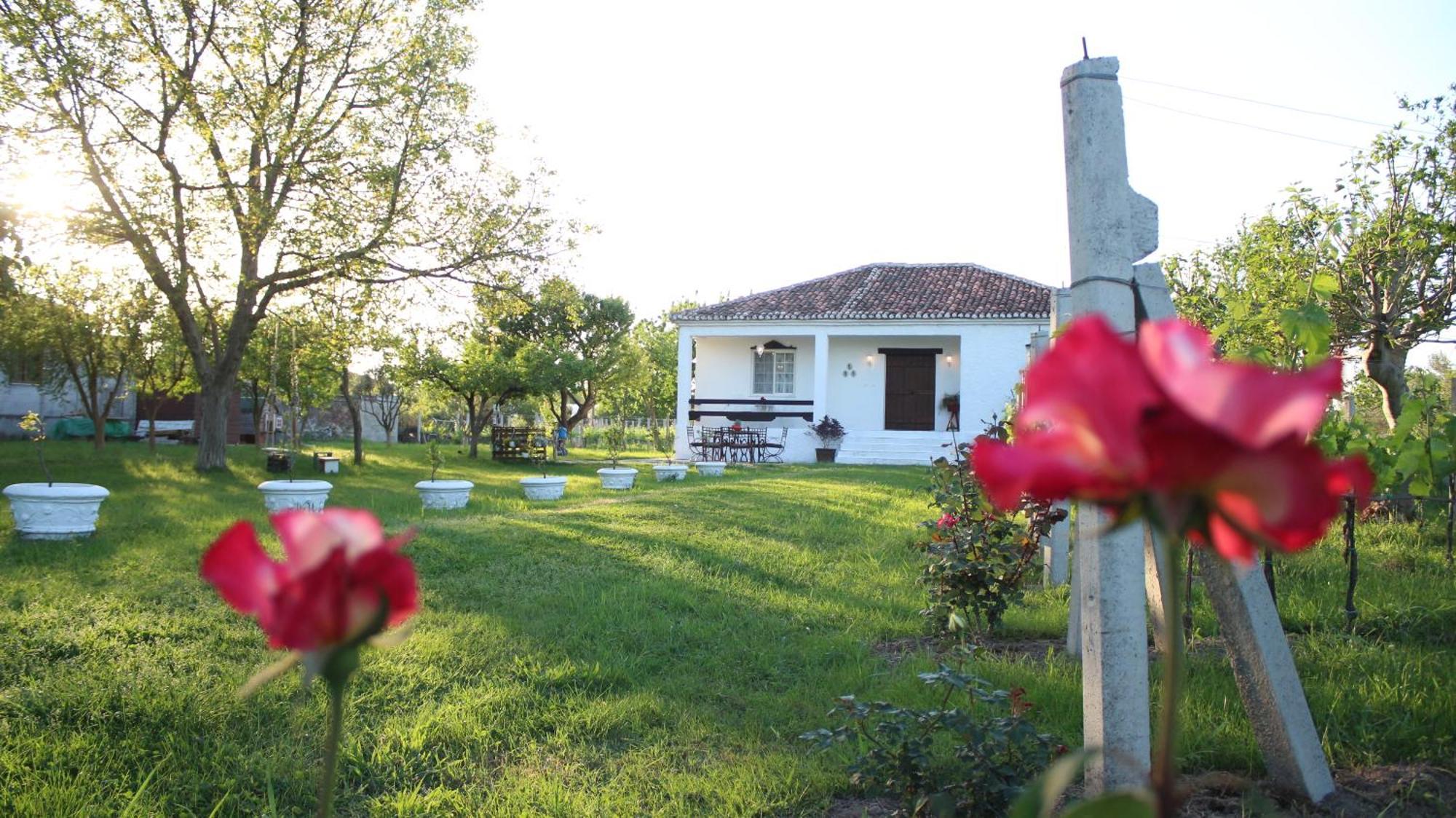 "Per Mik" Cottage In Vineyard Shkoder Exterior photo