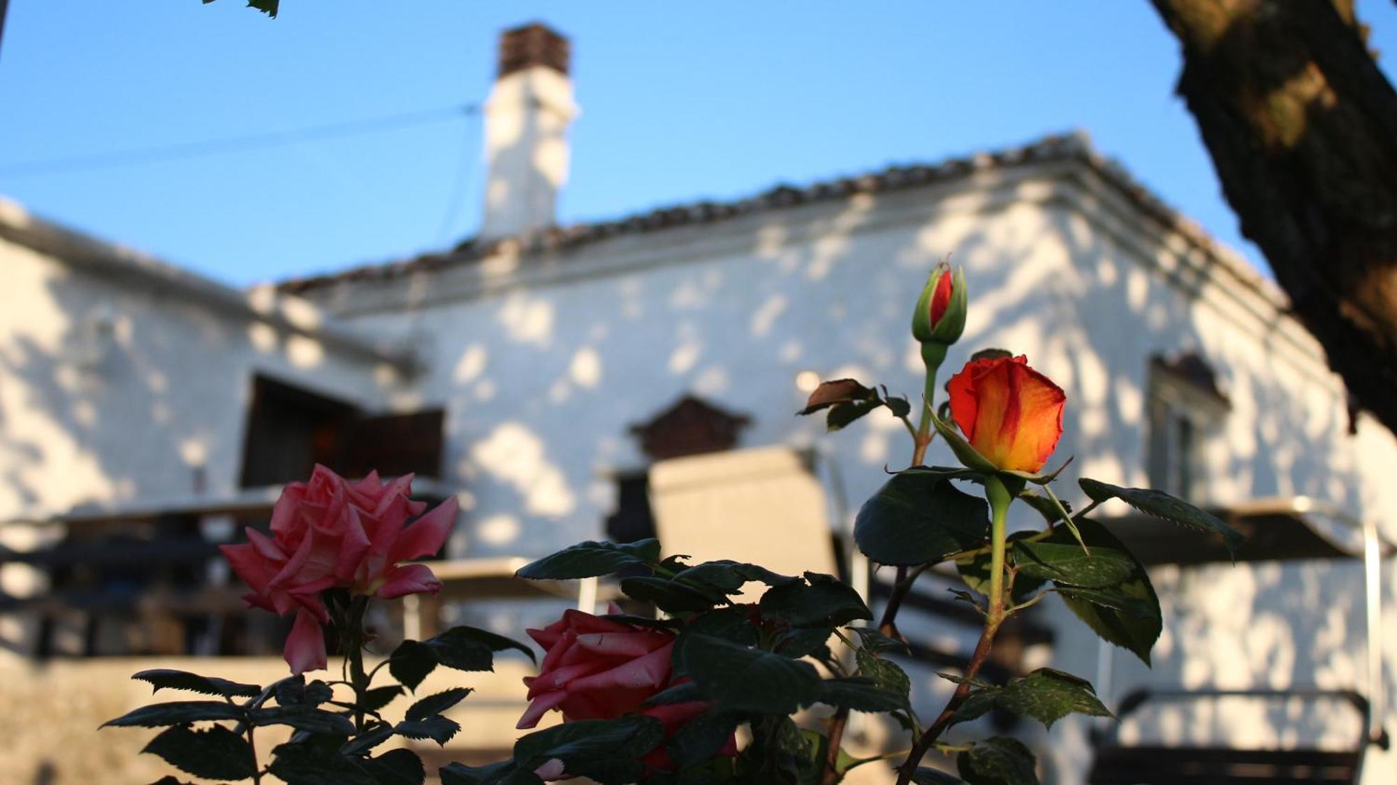 "Per Mik" Cottage In Vineyard Shkoder Exterior photo