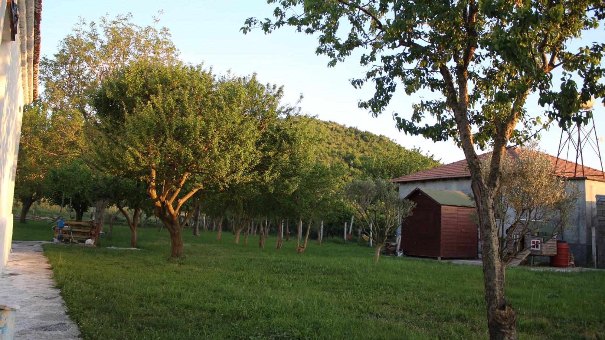 "Per Mik" Cottage In Vineyard Shkoder Exterior photo